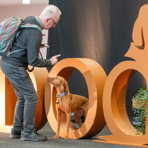 DOGLIVE2025_Sonstiges_Fotospot_CarstenPöhler